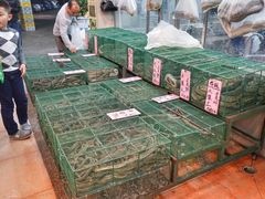-荔城生鲜盛宴(番禺旗舰店)