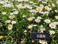 -苏州上方山国家森林公园