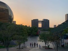 -城市阳台