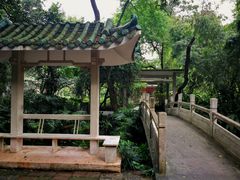 -广州兰圃