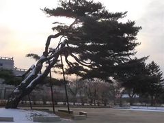 -景福宫