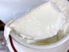 双皮奶-义顺牛奶公司(新马路老店)
