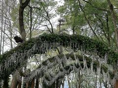 -天目湖山水园