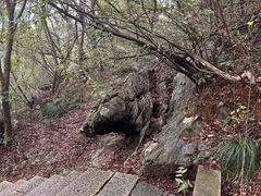 -九曜山