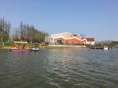 -上海长兴岛郊野公园