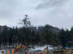 -硗碛藏寨·神木垒景区