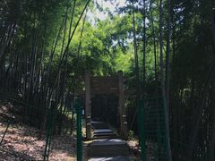 -穹窿山景区