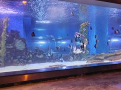 -顺德南宏海立方海洋公园