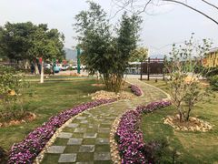 -芒洲湿地公园
