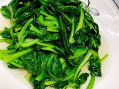 上海鸡毛菜-江南苑精菜坊