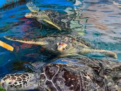 -横店影视城梦幻谷园区