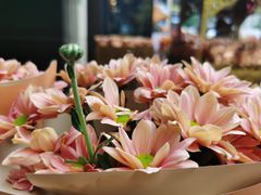 -红土地(地铁站)