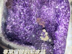 -河南自然博物馆