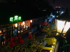 -Sirena海妖日咖夜酒