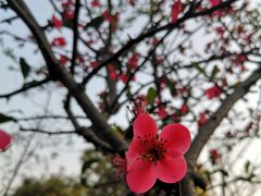 -重庆彩云湖湿地公园
