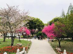 -苏州上方山国家森林公园
