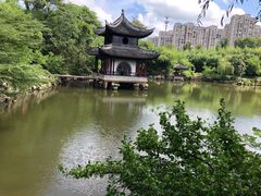 -水绘园