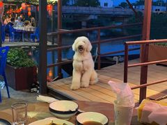 -晓琦农家菜馆·地道农家菜