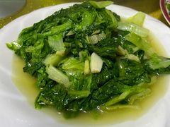 -煲来饱去冷水鱼