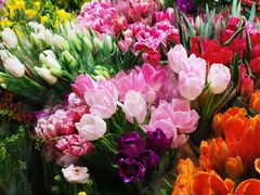 -朝来春花卉市场
