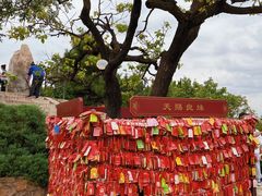 -香山公园