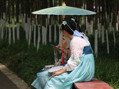 -桤木河湿地公园