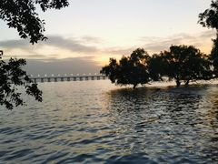 -宝安西湾红树林湿地公园