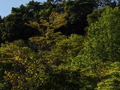-聚龙山公园