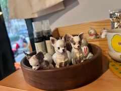 -Joymean coffee.见面咖啡