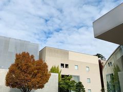 -金泽21世纪美术馆