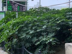 -上海南浦大桥长途旅游客运站