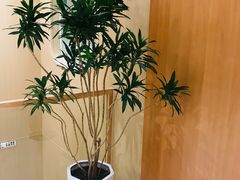-瑶舍头疗·瑶浴·芳香热石SPA(五洲国际店)