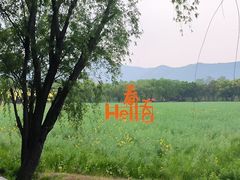 -长兴太湖图影湿地文化园