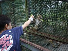 -藏龙百瀑风景区