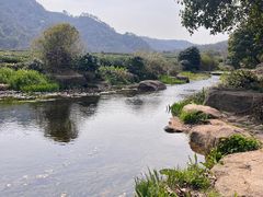 -中国茶叶博物馆(双峰馆区)