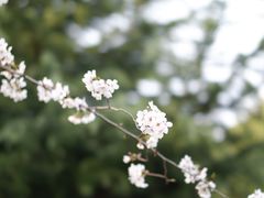-西郊宾馆·1921餐厅