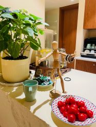 -阿南达·瑜伽普拉提·阿育吠陀疗愈中心