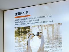 -陆记鹅庄·潮汕菜·狮头鹅(大仟里店)