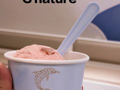 -八喜G’nature冰淇淋旗舰店