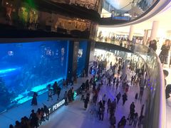 -迪拜水族馆及水下动物园