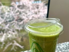-油梨树AVOCADO TREE(望京店)