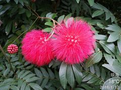 -红色娘子军纪念园