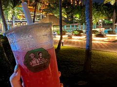 -海南清水湾莱佛士酒店