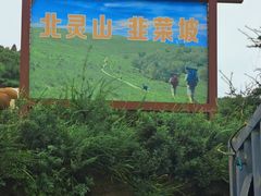 -灵山