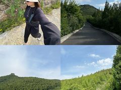 -佛慧山