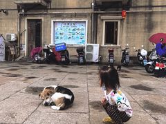 -长兴菜馆(高桥店)