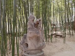 -泰山风景名胜区-普照寺