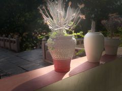 -深圳仙湖植物园