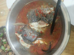 android_upload_pic-风鑫铃罗非鱼(道沟店)