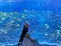 -海合安成都极地海洋公园